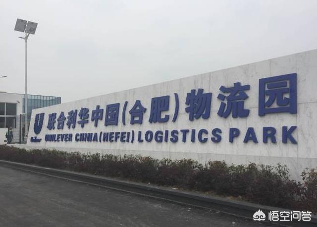 为什么中国洗发水生产地多处在合肥？