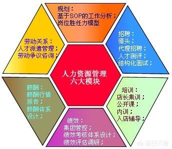 HR女生都有哪些职位适合？