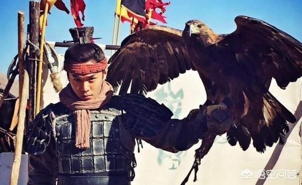 为什么卫青死后，汉武帝诛杀了其整个家族？插图83