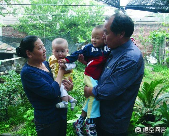 英国宠物犬捡到钻石:40年前，女孩捡到159克拉钻石并上交，如今过得如何？