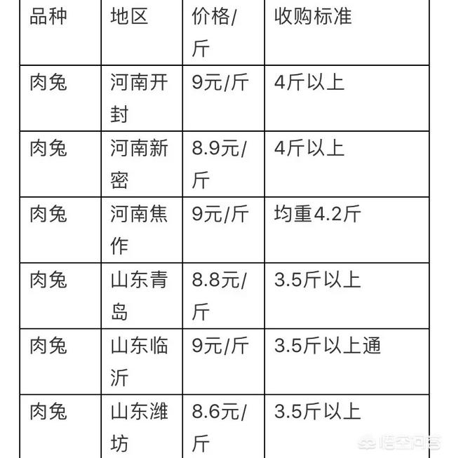 支架倒置饮水器:肉兔养殖需要哪些基本的设备？