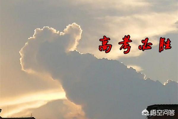 今日芒种，有啥习俗，吃点啥好，如何养生？