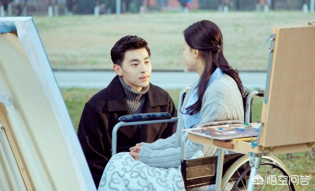 十五年等待候鸟:如何评价《十五年等待候鸟》？有什么出彩的地方？