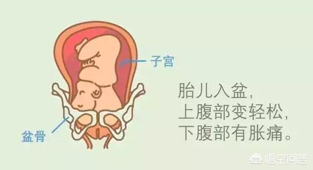 胎儿入盆与未入盆图片(令人紧张的胎儿入盆，胎儿头大会影响入盆吗)
