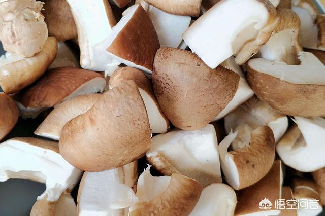 花菇的功效与作用，香菇具有什么治疗的作用吗？