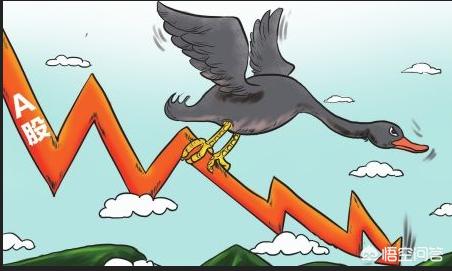 黑天鹅事件:金融市场的黑天鹅事件有哪些