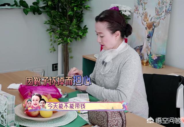 袁成杰图片:如何评价《我最爱的女人们》中，袁成杰夫妇一家的表现？