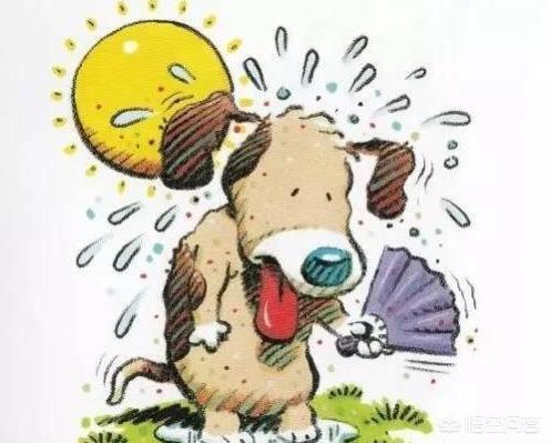 斗牛犬躲冰箱避暑视频:狗狗中暑时，如何正确降温？ 斗牛犬躲冰箱避暑图