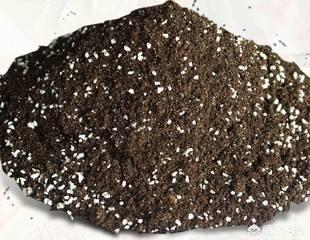 兰花火山石的作用:种兰花赤玉土好还是麦饭石好？