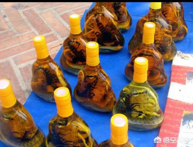 虎骨酒能壮阳吗，农村集市上一些买药酒的商贩，所展示的“虎骨”是真的吗？