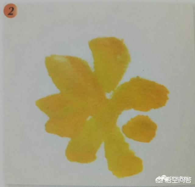 一串红国画画法:【国画教程】迎春花的画法？