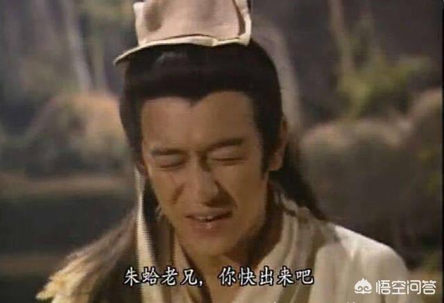 透明棺材:为什么那些拍摄野生动物的摄影师不会被攻击