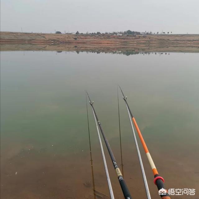 鮣鱼吃什么食耳:钓鲫鱼用拉饵还是搓饵好？