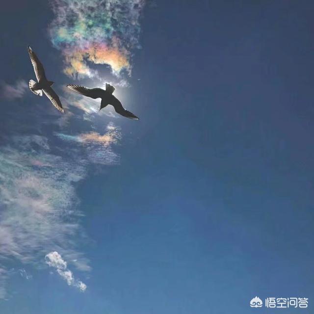 适合发<a href=https://maguai.com/list/256-0-0.html target=_blank class=infotextkey>朋友圈</a>的人生感悟句子短句:喝酒喝出人生感悟的好句子有哪些？