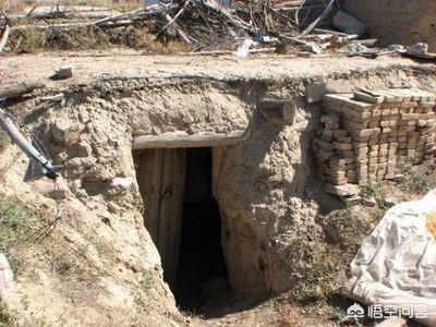 斗牛犬躲冰箱避暑视频:热死个人了，除了开空调，还能怎么降温？ 斗牛犬睡觉盖被子视频