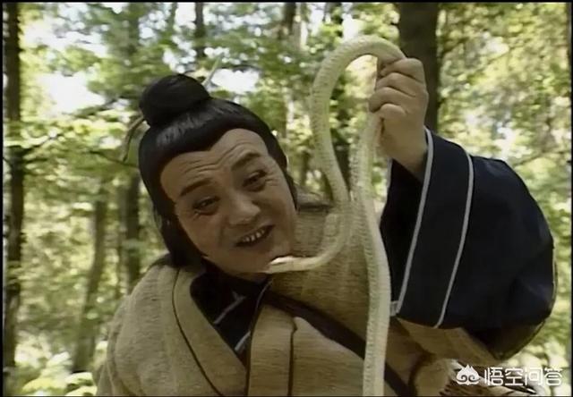 青蛇2劫起解析:法海为何处处为难白素贞？
