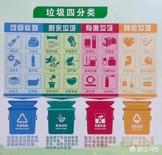 干垃圾和湿垃圾:下雨会影响干垃圾和湿垃圾的分类吗
