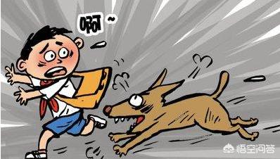 纽波利顿对比南非獒:你知道哪几类型的狗最容易咬人吗？