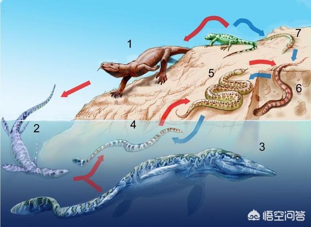 普鲁斯鳄穿越到恐龙时代的结果:科学家说恐龙的祖先，是一种水蜥蜴进化而来的，是真的吗？