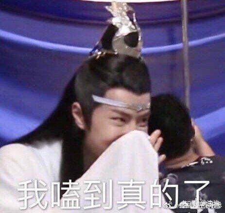 盲点美剧:如何评价影视剧《陈情令》