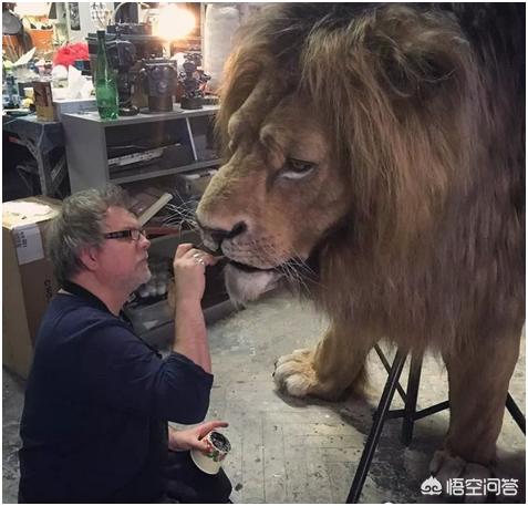 尖耳朵的阿凡达妹妹:蒙面唱将猜猜猜的歌手名单