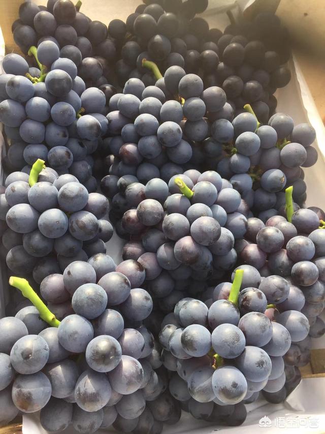 农产品的滞销主要原因是种植结构出了问题吗？还是供需不平衡所致？