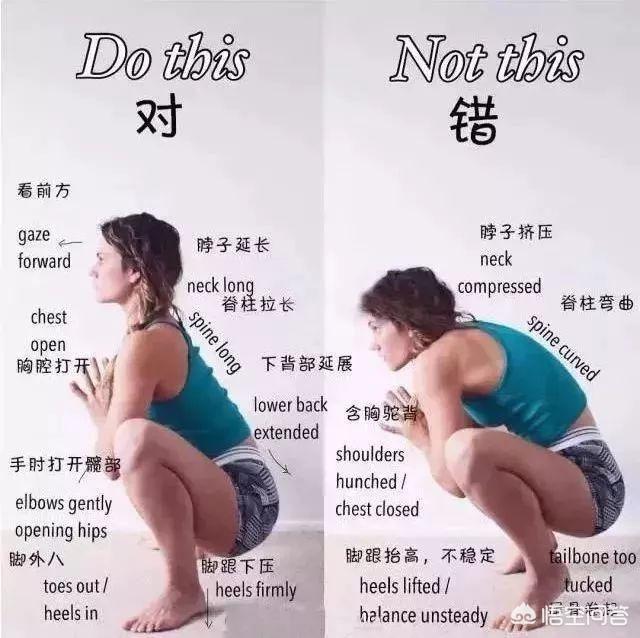 瑜伽狗:自学瑜伽，哪些动作容易练错？ 瑜伽狗头像