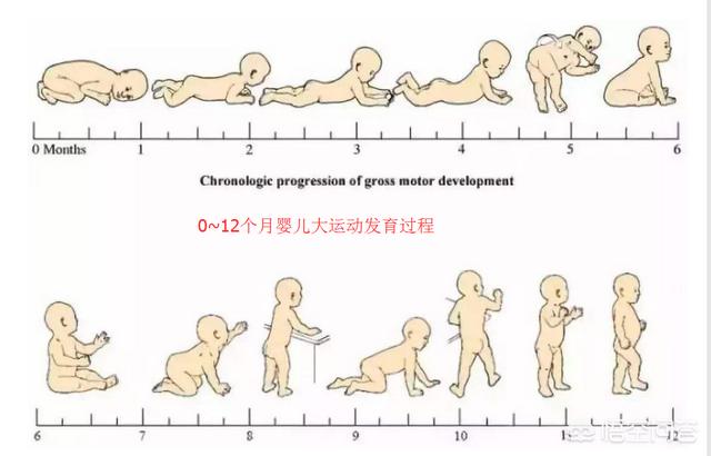 儿童生长发育网站有哪些:什么是宝宝大运动发育，照顾大动作发育的宝宝该注意什么？