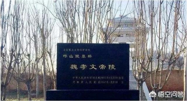 洛阳周边游:洛阳周边游有哪些地方景点一定要去？(洛阳景区有哪些景点开放)