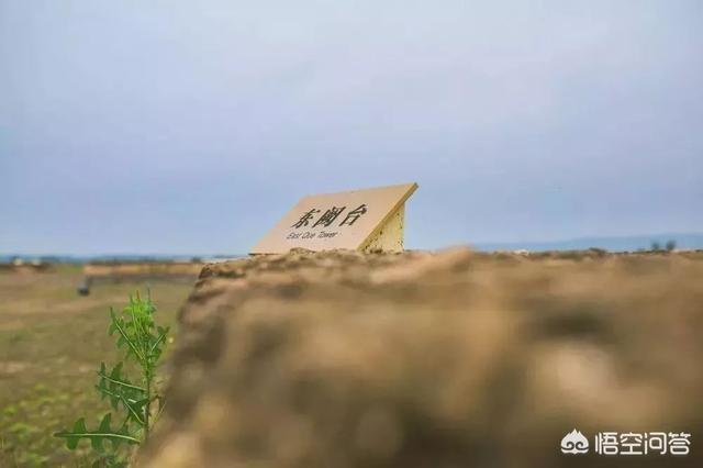 洛阳周边游:洛阳周边游有哪些地方景点一定要去？(洛阳景区有哪些景点开放)