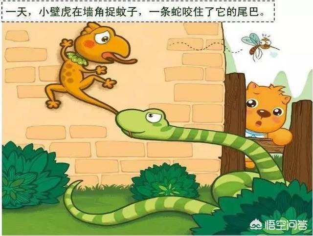 找到蓝尾金蜥怎么处理:小壁虎的尾巴被蛇咬住了,怎么做才能摆脱危险？