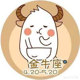 金牛男和天秤女适合吗？