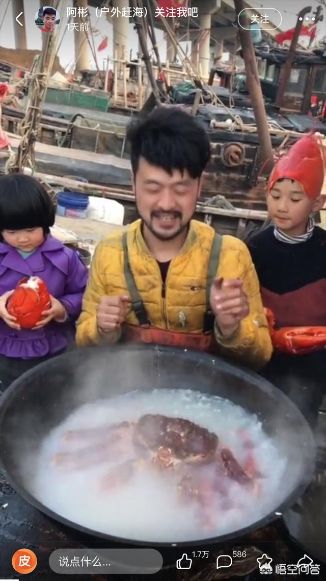 狗狗视频大全搞笑:有哪些有意思的狗子小视频？