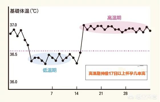 怎么会怀上孩子(怎么会怀上孩子的重要部位)