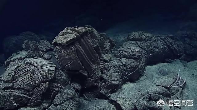 海底一万米有多恐怖:海底一万米到底有多恐怖？
