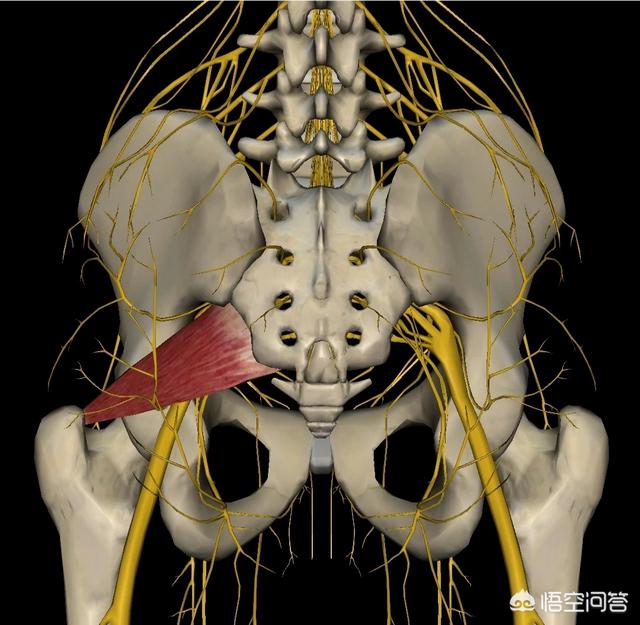 远红外筋骨伤痛贴:腰椎间盘膨隆，导致的腿疼是什么原因？