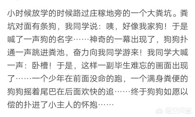 犬饲先生养狗记优酷:养狗之后，你觉得什么人最讨厌？ 电影犬饲先生养狗记免费在线观看