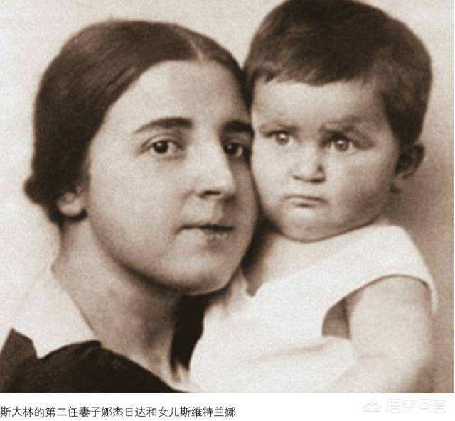 贵夫人狗图片:1932年，苏联最高领导人斯大林的妻子为何突然自杀？