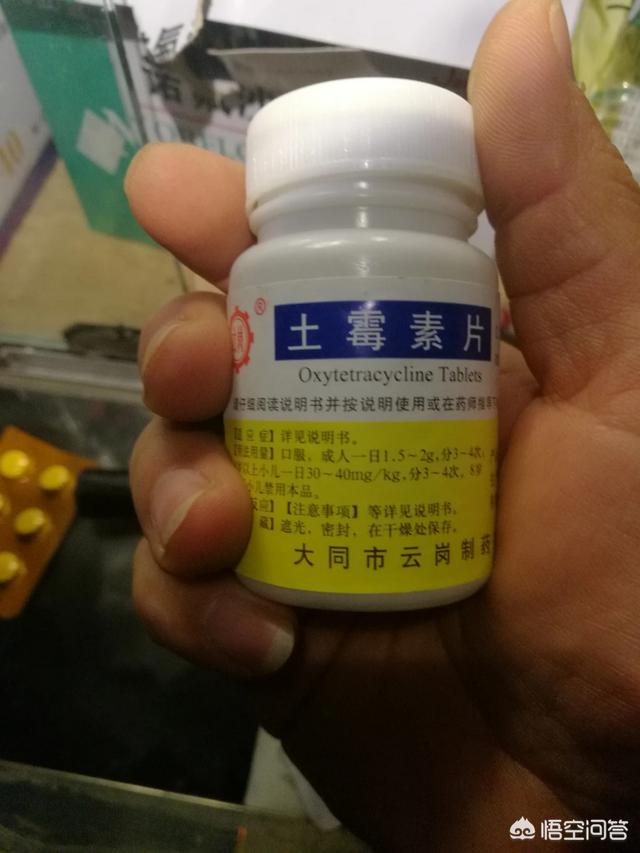 刚出生的小狗拉稀张着大嘴到处滚:狗狗喷射状拉水了怎么办？