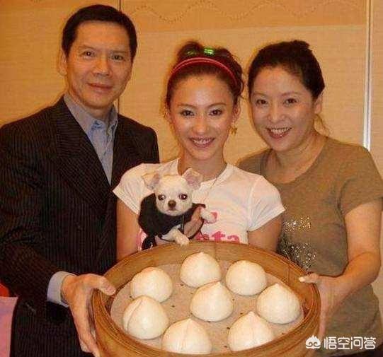 向太否认向佐结婚:向佐郭碧婷恋情迅速升级的背后，向太为何频频贡献助攻？