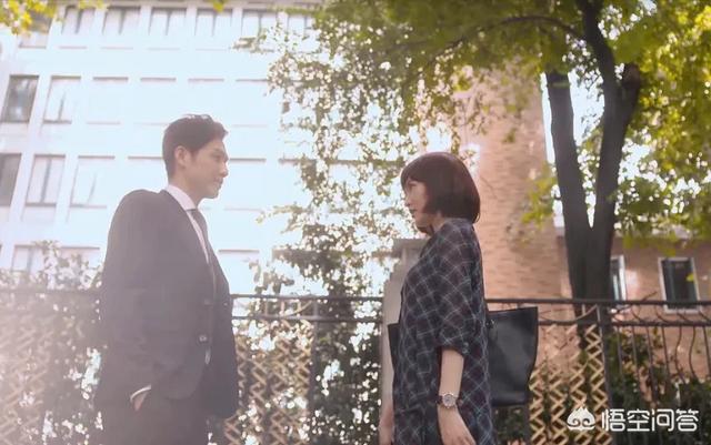 姜志焕主演的电视剧:钟汉良主演的电视剧最好看的有哪些？哪些看了N遍还想看的？
