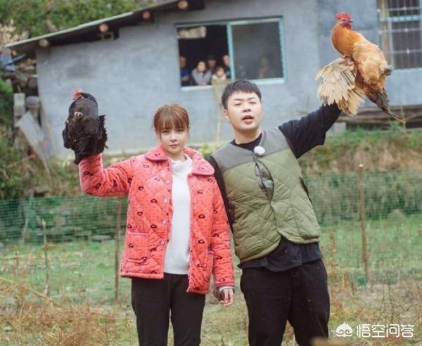 杜海涛沈梦辰:杜海涛再被催婚，8年恋爱不结婚，沈梦辰会是下一个邓紫棋吗？