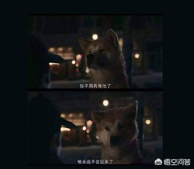 盘点一下曾经所看过最感人的动漫（包括动漫电影）可以吗？