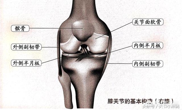 膝盖软骨磨损微创手术费用:微创关节镜到底是什么？最适合哪些患者朋友？