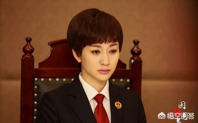 张丰毅电视剧:如何评价由李幼斌、李小冉、张丰毅主演的电视剧《因法之名》？