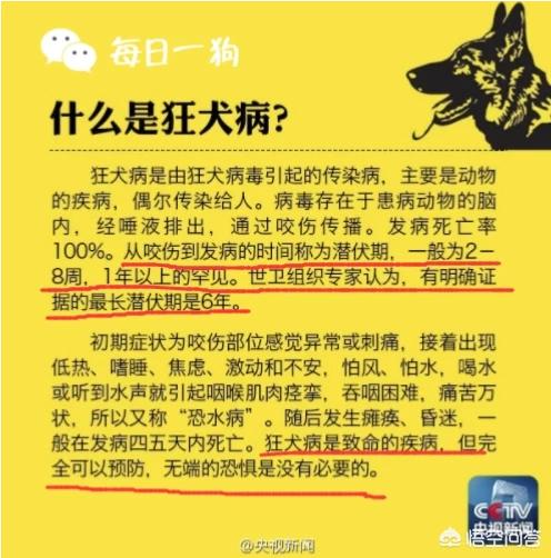 小狗狂犬病发作的样子:得了狂犬病真的会和狗一样的叫吗？