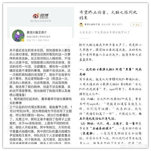 张艺帅:如何看待《最强大脑》王德才未能进国际战队？