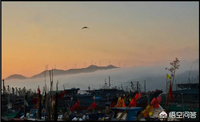 潮汕南澳岛自驾游,哪里好玩？有推荐吗？