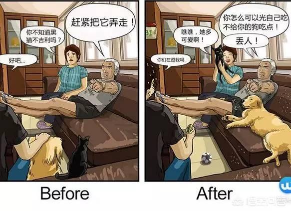 小狗俊介的日长生活:养狗之后，你的生活会有怎样的变化？