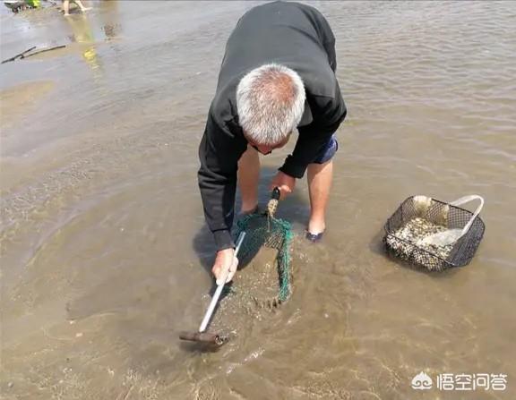 鸟蛤价格:我感觉始祖鸟的产品并不好看，它为什么卖那么贵？